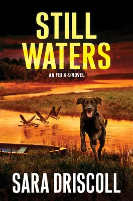 Still Waters: Trzymająca w napięciu powieść sensacyjna - Still Waters: A Riveting Novel of Suspense