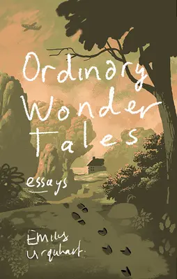 Zwykłe opowieści o cudach - Ordinary Wonder Tales