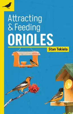 Wabienie i karmienie wilg - Attracting & Feeding Orioles