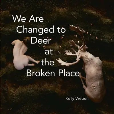 Jesteśmy przemienieni w jelenie w zepsutym miejscu - We Are Changed to Deer in the Broken Place