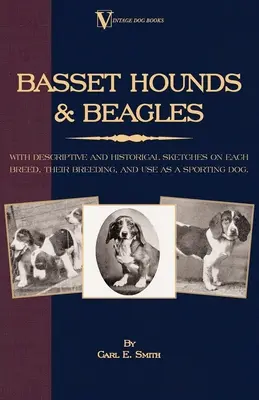 Basset Hounds & Beagles: Z opisowymi i historycznymi szkicami na temat każdej rasy, ich hodowli i wykorzystania jako psów sportowych - Basset Hounds & Beagles: With Descriptive and Historical Sketches on Each Breed, Their Breeding, and Use as a Sporting Dog