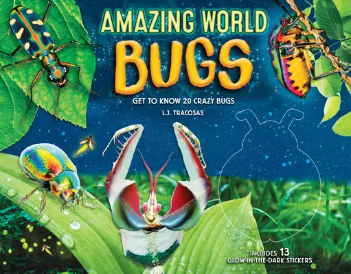 Niesamowity świat: Robale: Poznaj 20 szalonych robali - Amazing World: Bugs: Get to Know 20 Crazy Bugs