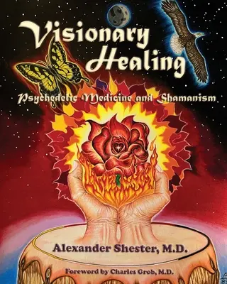 WIZJONERSKIE UZDROWIENIE Medycyna psychodeliczna i szamanizm - VISIONARY HEALING Psychedelic Medicine and Shamanism