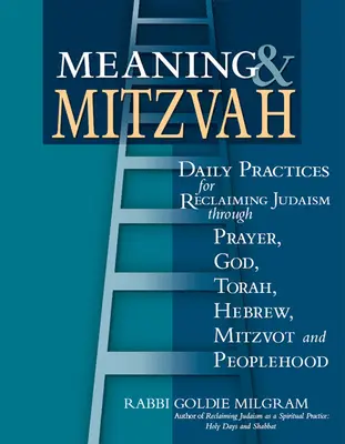 Znaczenie i micwa: Codzienne praktyki odzyskiwania judaizmu poprzez modlitwę, Boga, Torę, hebrajski, micwot i ludowość - Meaning & Mitzvah: Daily Practices for Reclaiming Judaism Through Prayer, God, Torah, Hebrew, Mitzvot and Peoplehood