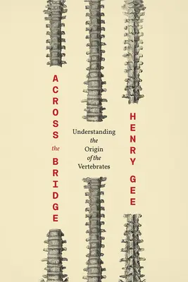 Across the Bridge: Zrozumieć pochodzenie kręgowców - Across the Bridge: Understanding the Origin of the Vertebrates