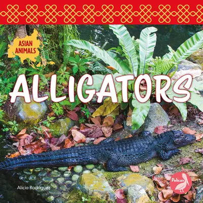 Aligatory - Alligators