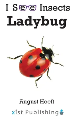 Biedronka - Ladybug