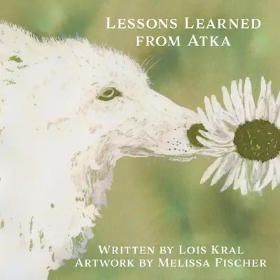 Lekcje wyciągnięte z Atki - Lessons Learned from Atka