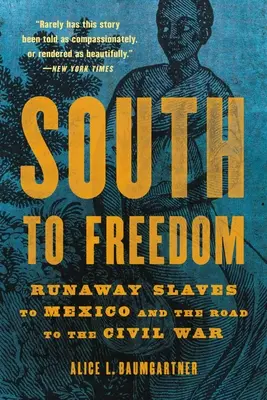 Na południe do wolności: Ucieczka niewolników do Meksyku i droga do wojny secesyjnej - South to Freedom: Runaway Slaves to Mexico and the Road to the Civil War