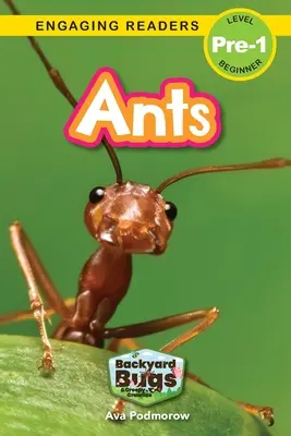 Mrówki: Robaki podwórkowe i pełzacze (Angażujące czytanki, poziom Pre-1) - Ants: Backyard Bugs and Creepy-Crawlies (Engaging Readers, Level Pre-1)