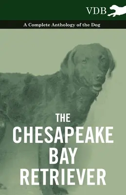 Chesapeake Bay Retriever - Kompletna antologia psa - Kreatywne zabawy i hobby dla dzieci