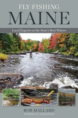 Wędkarstwo muchowe Maine: Lokalni eksperci o najlepszych wodach stanu - Fly Fishing Maine: Local Experts on the State's Best Waters