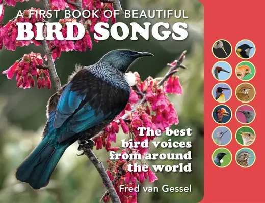 Księga pięknych pieśni ptaków: Najlepsze głosy ptaków z całego świata - A Book of Beautiful Bird Songs: The Best Bird Voices from Around the World