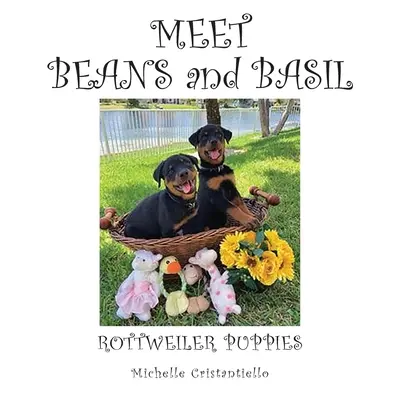 Poznaj fasolę i bazylię - Meet Beans and Basil