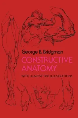 Anatomia konstruktywna - Constructive Anatomy