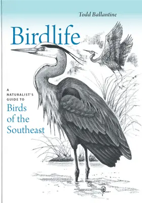 Birdlife: Przewodnik przyrodnika po ptakach południowego wschodu - Birdlife: A Naturalist's Guide to Birds of the Southeast