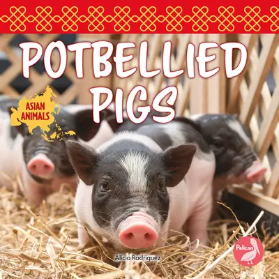 Świnie z brzuszkiem - Potbellied Pigs