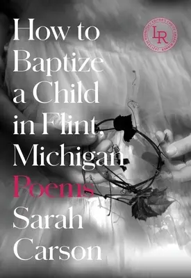Jak ochrzcić dziecko we Flint w stanie Michigan: Wiersze - How to Baptize a Child in Flint, Michigan: Poems