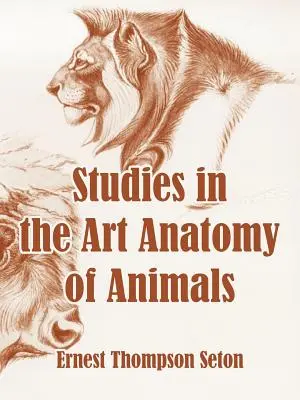 Studia nad anatomią zwierząt w sztuce - Studies in the Art Anatomy of Animals