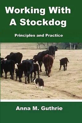 Praca z psem pasterskim - Working with a Stockdog