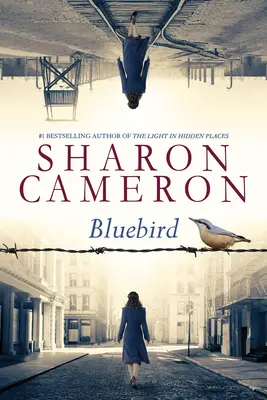 Niebieski ptak - Bluebird