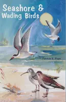 Ptaki morskie i brodzące Florydy - Seashore and Wading Birds of Florida