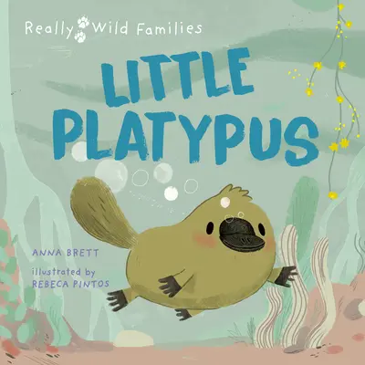 Mały dziobak: Dzień z życia dziobaka mruczka - Little Platypus: A Day in the Life of a Platypus Puggle