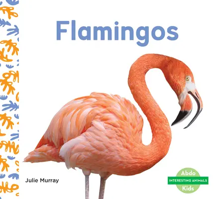 Flamingi - Flamingos