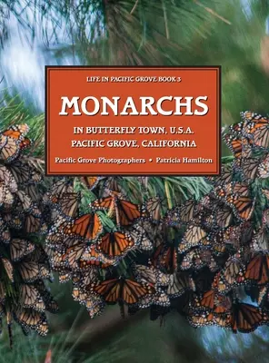 MONARCHY w Butterfly Town U.S.A., Pacific Grove, Kalifornia - MONARCHS In Butterfly Town U.S.A., Pacific Grove, California