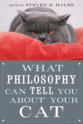 Co filozofia może ci powiedzieć o twoim kocie - What Philosophy Can Tell You about Your Cat