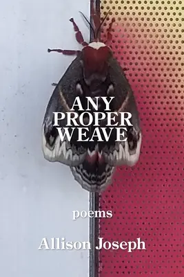 Dowolny właściwy splot - Any Proper Weave