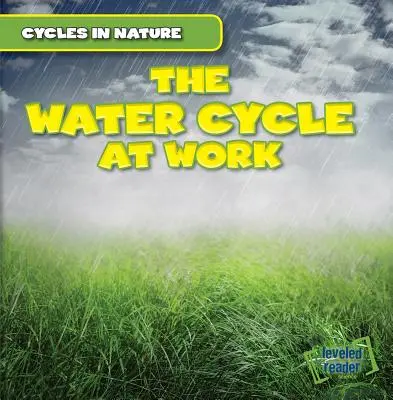 Cykl wodny w pracy - The Water Cycle at Work