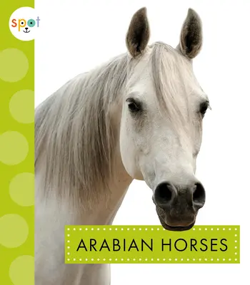 Konie arabskie - Arabian Horses