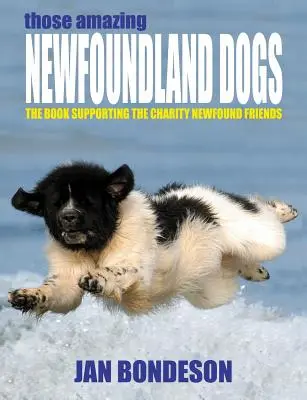 Niesamowite psy nowofundlandzkie - Those Amazing Newfoundland Dogs