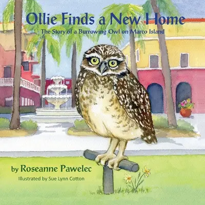 Ollie znajduje nowy dom: historia nory na wyspie Marco - Ollie Finds a New Home, The Story of a Burrowing Owl on Marco Island
