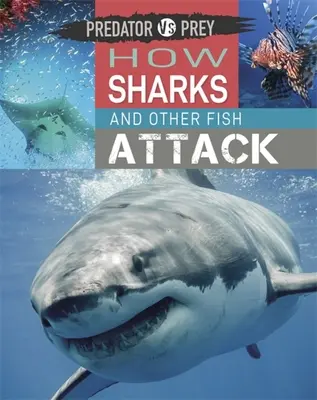 Drapieżnik kontra ofiara: Jak atakują rekiny i inne ryby! - Predator Vs Prey: How Sharks and Other Fish Attack!