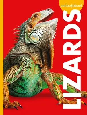 Ciekawi jaszczurek - Curious about Lizards