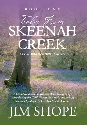 Tales From Skeenah Creek: Powieść historyczna z czasów wojny secesyjnej - Tales From Skeenah Creek: A Civil War Historical Fiction Novel