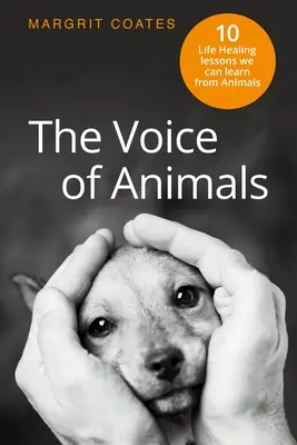 Głos zwierząt: 10 życiowych lekcji, których możemy nauczyć się od zwierząt - The Voice of Animals: 10 Life-Healing Lessons we can Learn from Animals