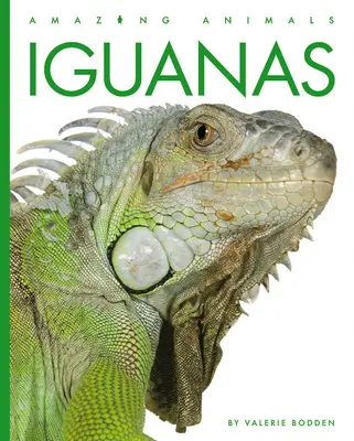 Legwany - Iguanas