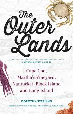 The Outer Lands: Przewodnik przyrodniczy po Cape Cod, Martha's Vineyard, Nantucket, Block Island i Long Island - The Outer Lands: A Natural History Guide to Cape Cod, Martha's Vineyard, Nantucket, Block Island, and Long Island