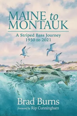 Maine to Montauk: A Striped Bass Journey 1950 to 2021. - Maine to Montauk: A Striped Bass Journey 1950 to 2021