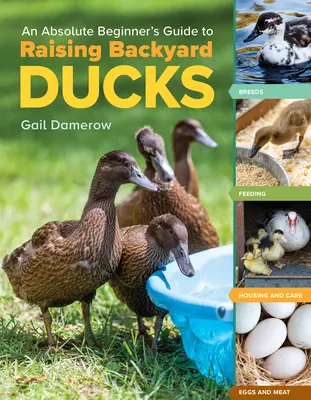 Przewodnik dla początkujących po hodowli kaczek przydomowych: Rasy, żywienie, trzymanie i pielęgnacja, jaja i mięso - An Absolute Beginner's Guide to Raising Backyard Ducks: Breeds, Feeding, Housing and Care, Eggs and Meat