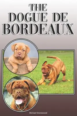 Dogue de Bordeaux: A Complete and Comprehensive Owners Guide To: Zakup, posiadanie, zdrowie, pielęgnacja, szkolenie, posłuszeństwo, zrozumienie i - The Dogue de Bordeaux: A Complete and Comprehensive Owners Guide To: Buying, Owning, Health, Grooming, Training, Obedience, Understanding and