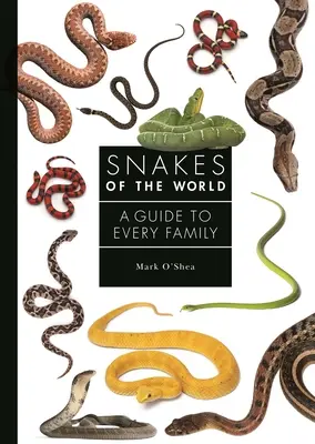 Węże świata: Przewodnik dla każdej rodziny - Snakes of the World: A Guide to Every Family