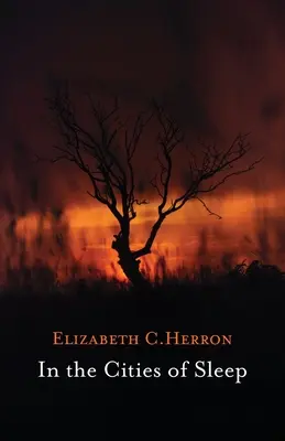 W miastach snu - In the Cities of Sleep