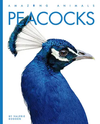 Pawie - Peacocks