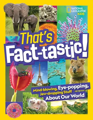 That's Fact-Tastic!: Zdumiewające, oszałamiające, oszałamiające rzeczy o naszym świecie - That's Fact-Tastic!: Mind-Blowing, Eye-Popping, Jaw-Dropping Stuff about Our World