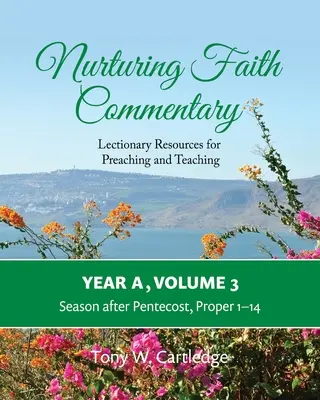 Nurtujący komentarz do wiary, rok A, tom 3: Zasoby lekcyjne do głoszenia i nauczania - sezon po Pięćdziesiątnicy: Właściwe 1-14 - Nurturing Faith Commentary, Year A, Volume 3: Lectionary Resources for Preaching and Teaching-Season after Pentecost: Proper 1-14