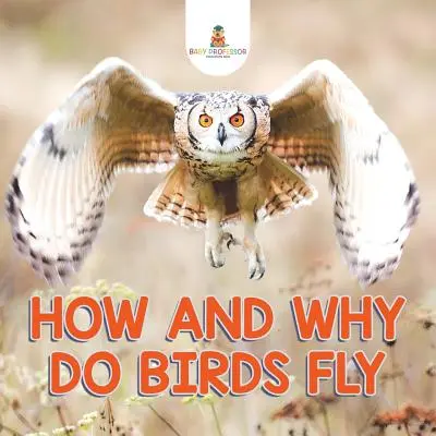 Jak i dlaczego ptaki latają - How and Why Do Birds Fly